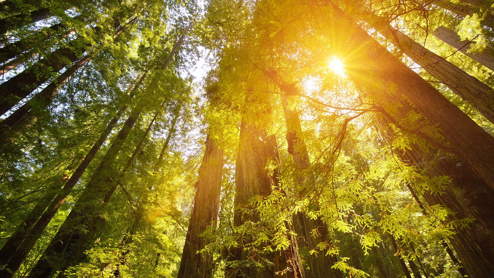 Private Markets Growth & GP Seeding Solutions - Taproot Capital